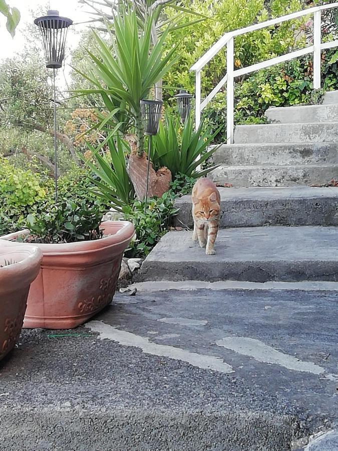 Apartament U Castiddanu Breathtaking View Taormina Zewnętrze zdjęcie